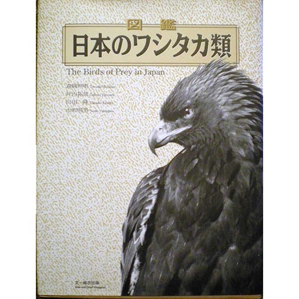 猛禽類学 | 山崎 亨 |本 | 通販 | Amazon